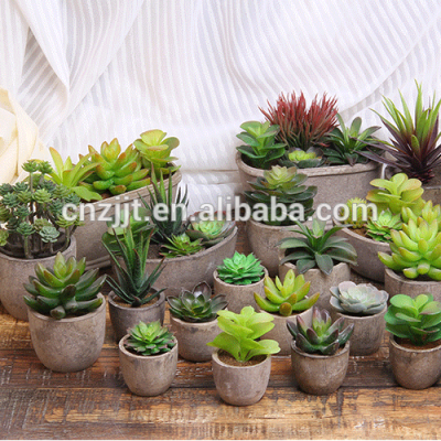 Best selling  artificial flowers  cheap artificial flowers different type mini succulent plant